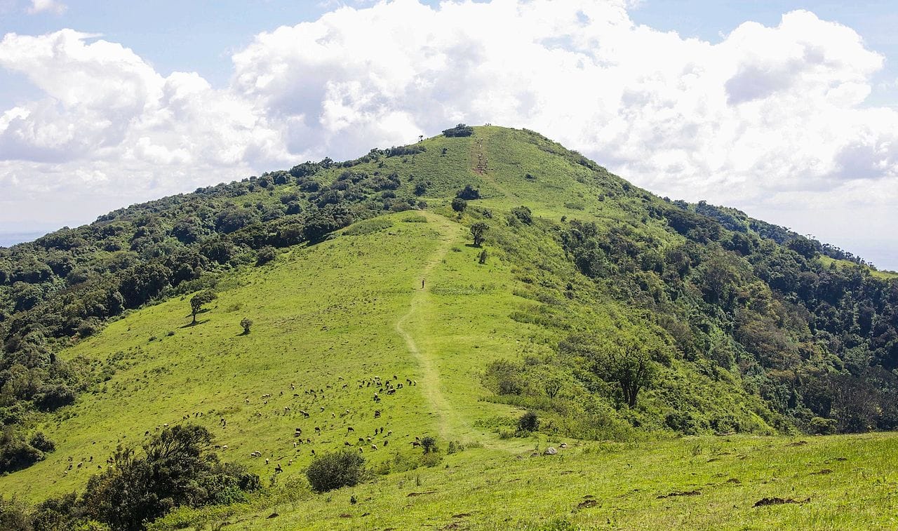 NGONG HILLS
